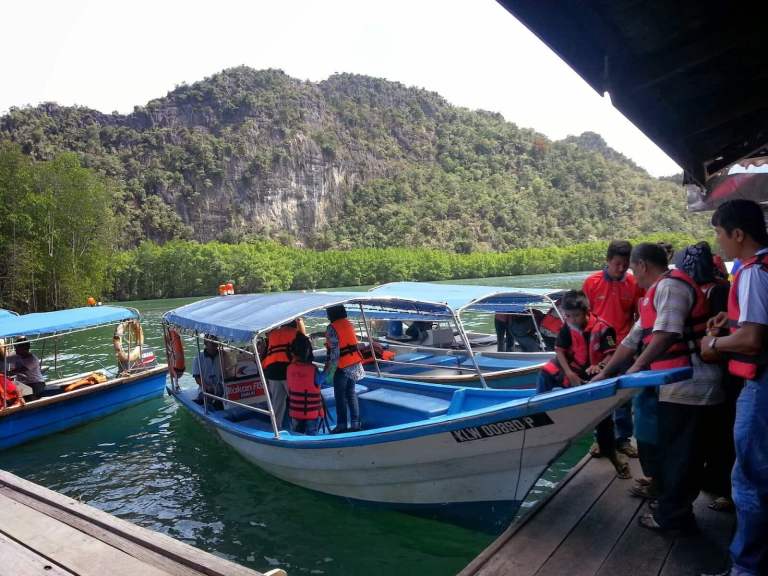 MANGROVE TOUR (15 PAX - 2 HOURS)